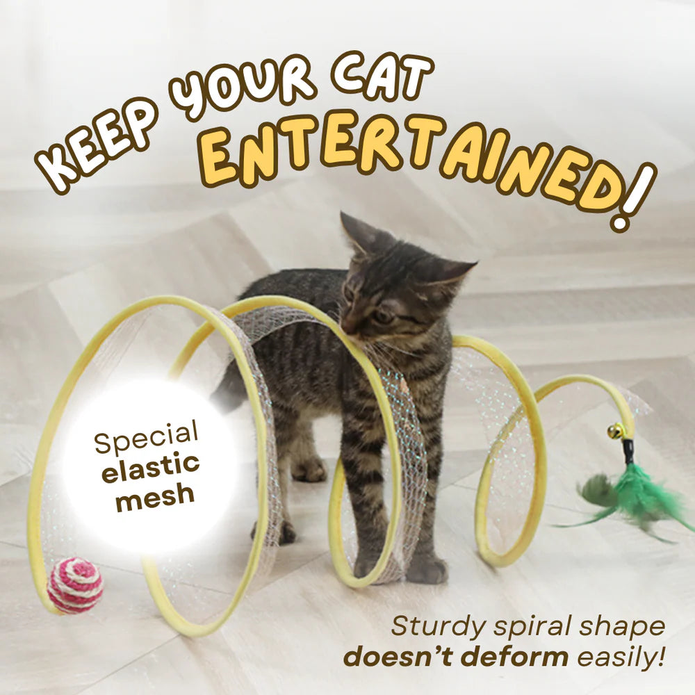 Spiral Cat Tunnel
