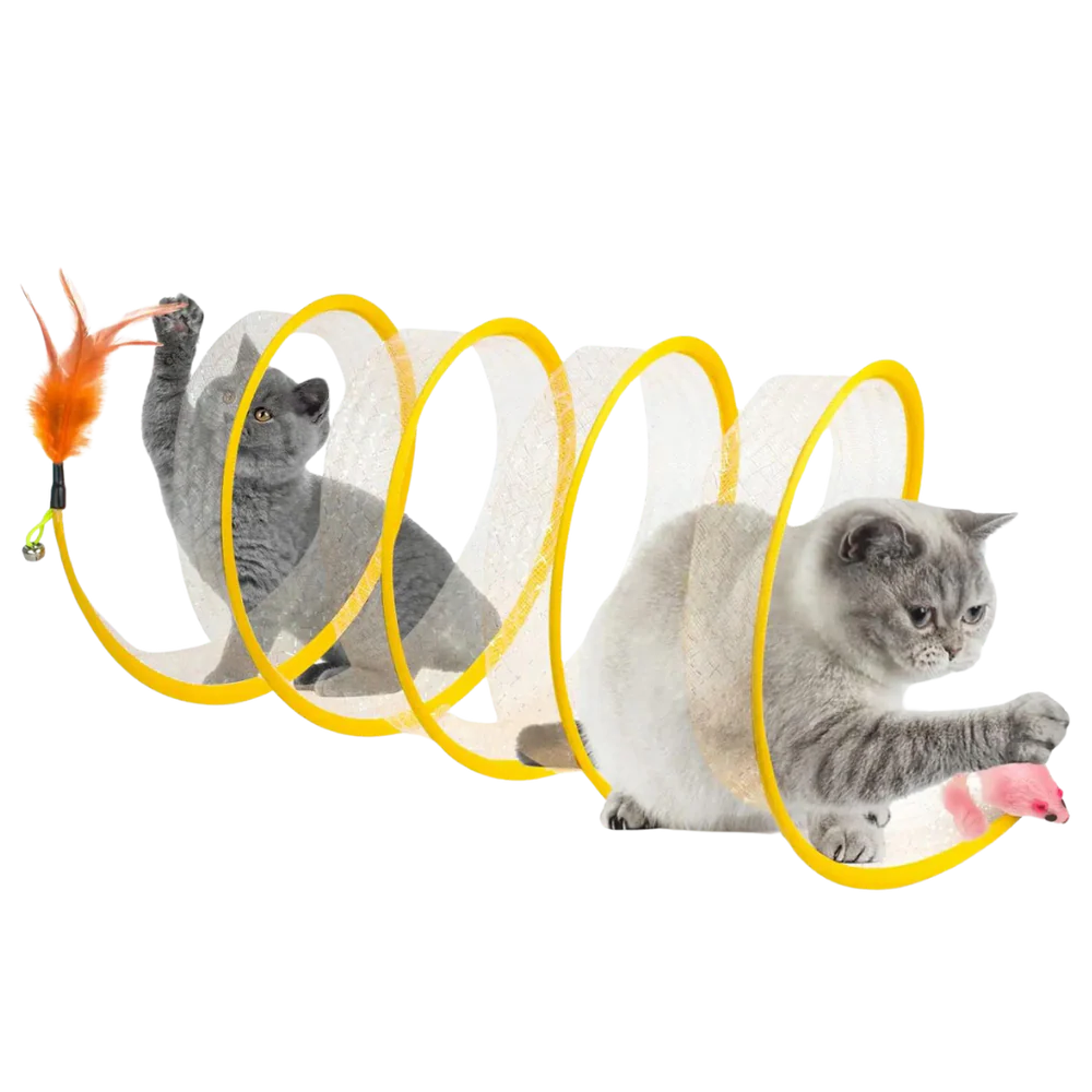 Spiral Cat Tunnel
