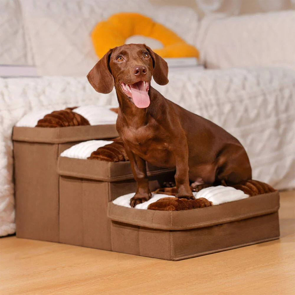 Foldable Dog Stairs with Hidden Storage (3 STEP)