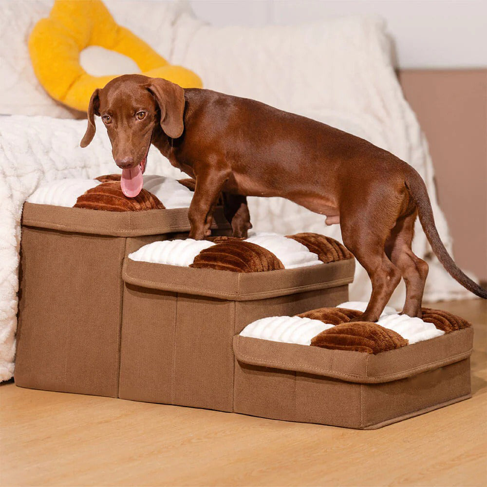 Foldable Dog Stairs with Hidden Storage (3 STEP)